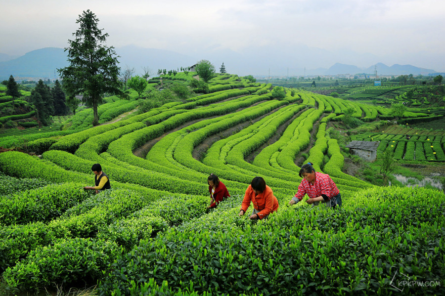 您的2016已不足8%！这篇攻略请mark好，明年60天假期妥妥的！