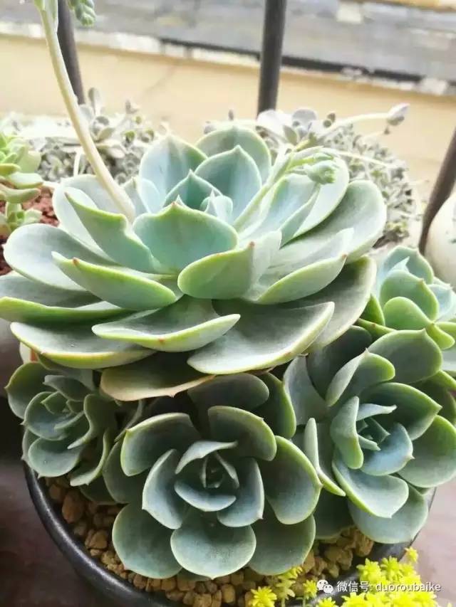 美好的时光带来快乐,美好的时光伴随着我