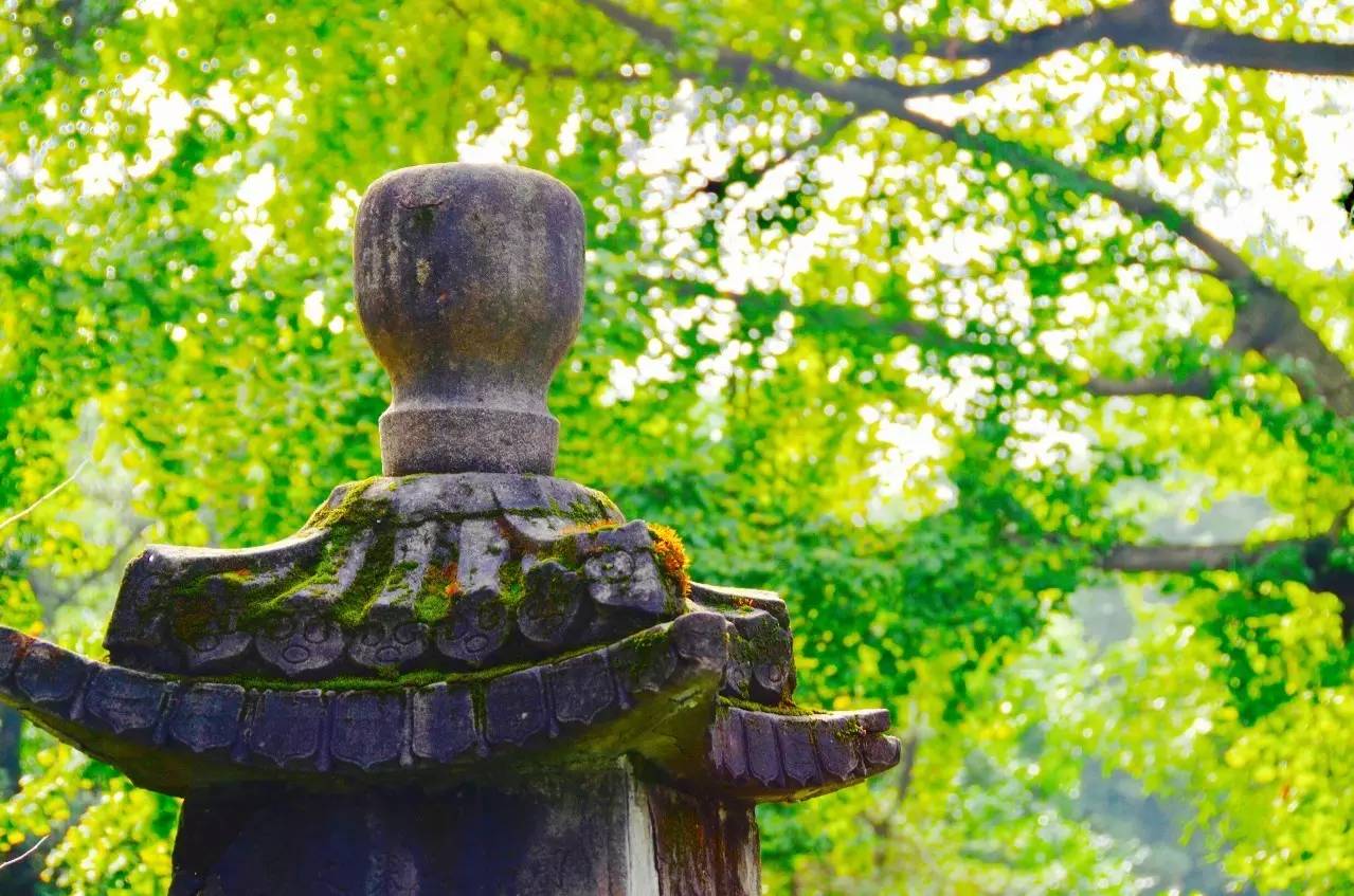 唐代女诗人薛涛简介,唐朝美女诗人薛涛