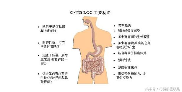 宝宝便秘吃哪种益生菌,宝宝为什么要吃益生菌