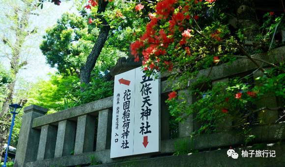 樱花旅行记全集视频,日本樱花7日游攻略大全