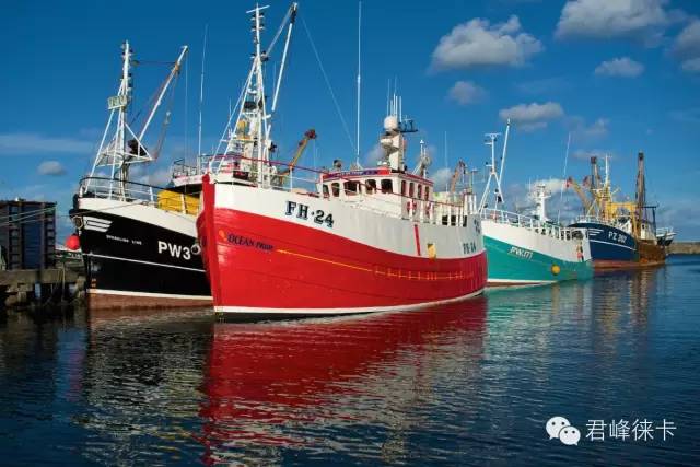 摆脱新手摄影第一道门槛,徕卡相机怎么选择