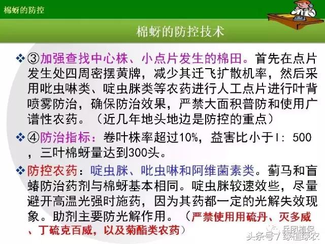 棉蚜治理,棉蚜严重怎么治