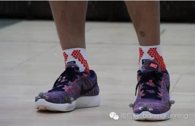 斑马测评视频,斑马测评