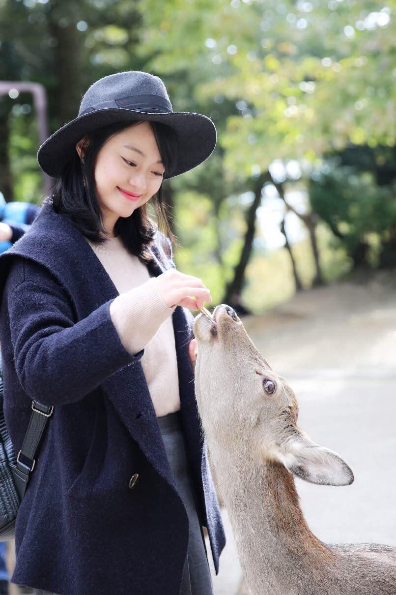 关西温泉六日游,大阪关西机场温泉