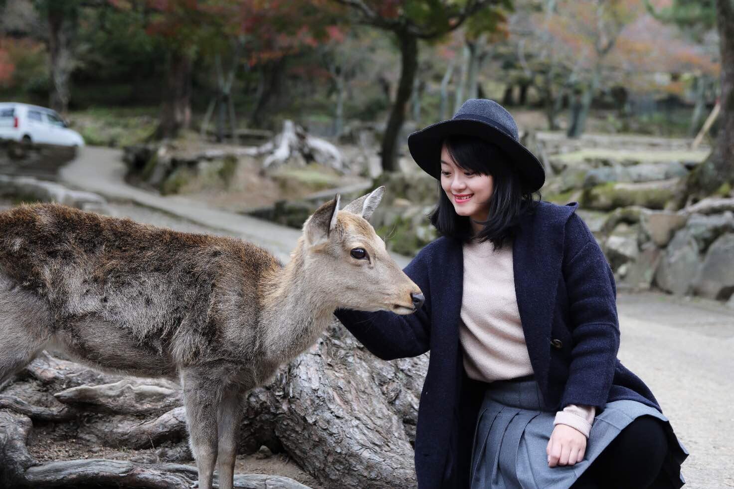 日本关西温泉圣地,日本关西房间内温泉