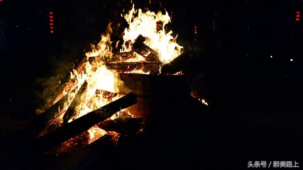 连州菜心拍卖最高价,至尊连州菜心什么价