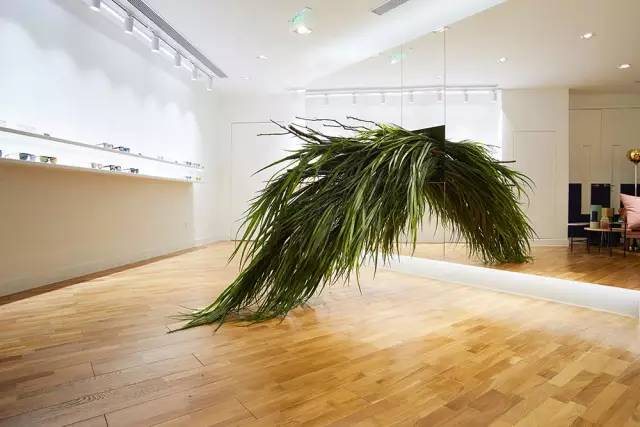 gentlemonster墨镜上海店,澳门gentlemonster墨镜专柜