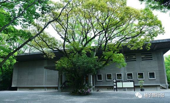 樱花旅行记全集视频,日本樱花7日游攻略大全