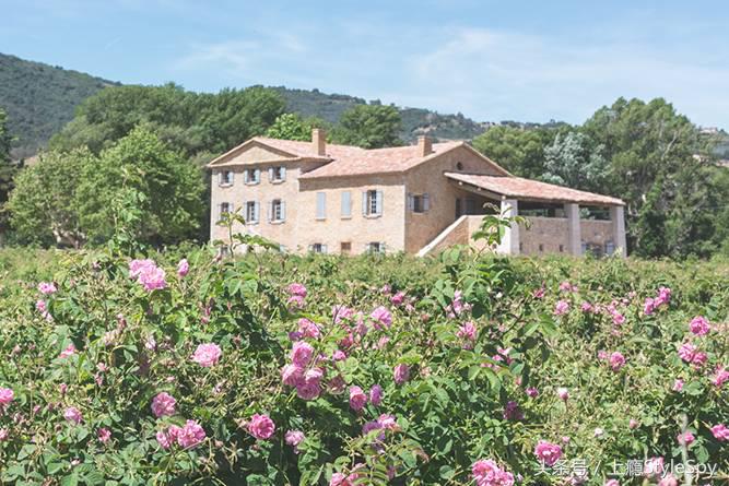 五号香水香奈儿淡香,5号香水chanel