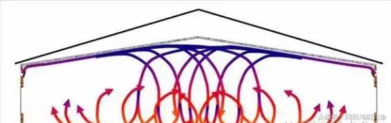 鸡舍氨气对鸡的危害,鸡舍里氨气太重会导致什么病