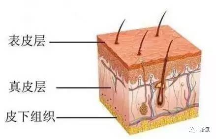 瞒着家人做了美瞳线,做美瞳线为什么会引起角膜炎