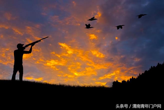 青年悦读年味,青年悦读图片