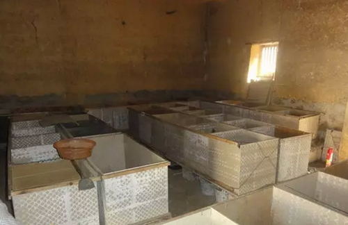 农村四种致富项目,农村十大致富标准