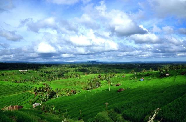 武汉到北京旅游团有哪些景点免费,武汉到贵州旅游团纯玩团