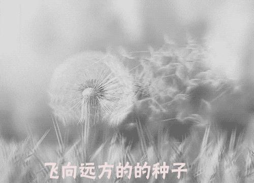 缇庨澶╀笅鍏荤敓澶у笀,缇庨澶╀笅棣欑尓