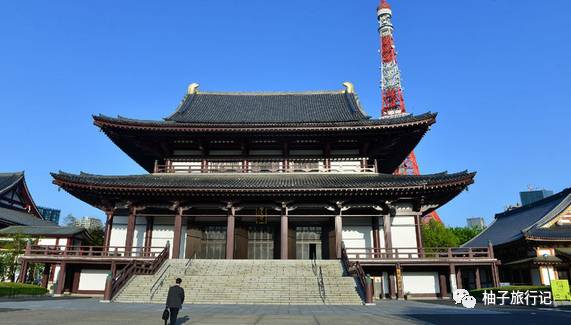 樱花旅行记全集视频,日本樱花7日游攻略大全