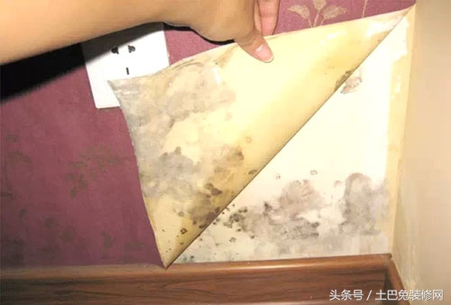 壁纸发霉重刷什么防霉,壁纸发霉怎么清除霉菌