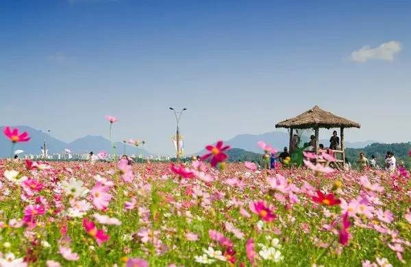 韩国釜山旅游地,釜山首尔旅游
