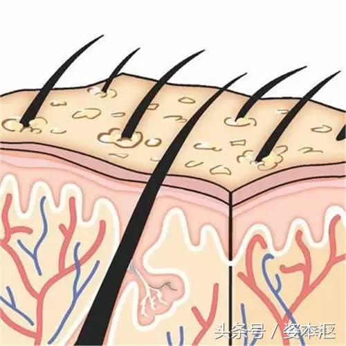 头发柔顺光亮怎么做到的,头发怎么洗才能柔顺变亮