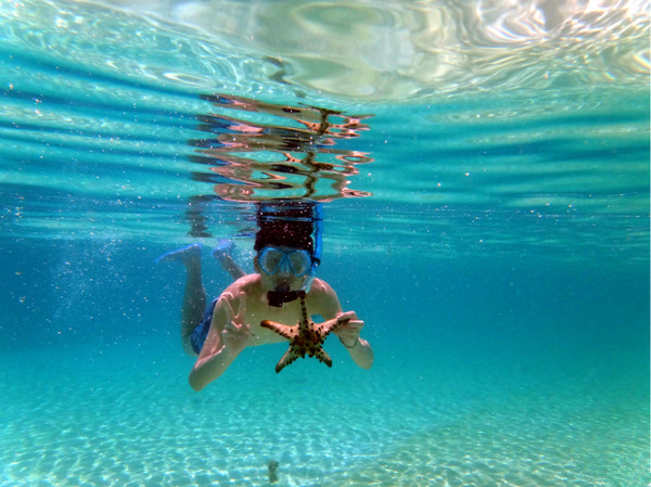 菲律宾宿务市自助旅游攻略地图,菲律宾宿雾旅游景点