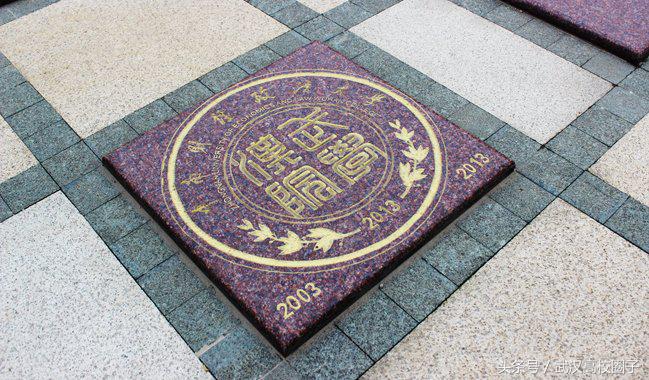 姝︽眽澶у涔﹂瀛﹂櫌,姝︽眽瀛﹂櫌灏辫浣撻獙