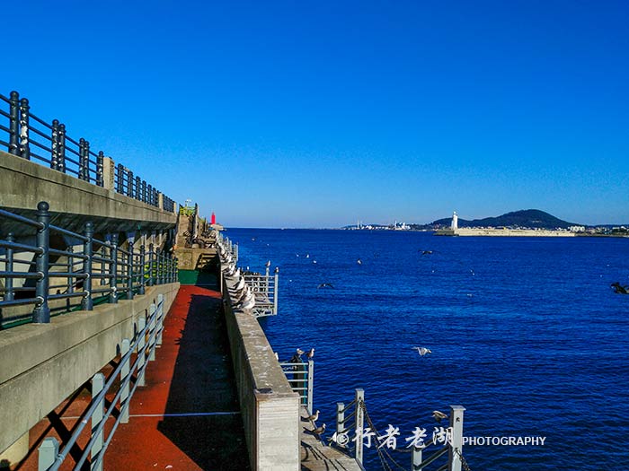 济州岛的苦逼生活,在济州岛的一天打卡