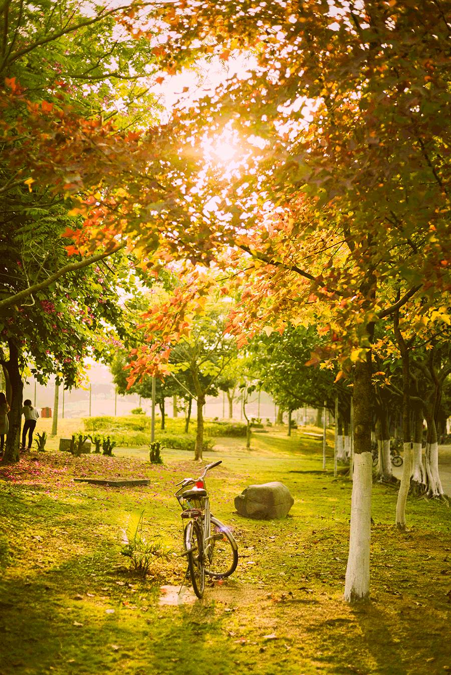 这几天千万不要来北师珠！