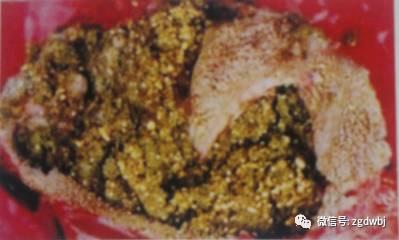 羊瘤胃积食打针后多久治愈,羊瘤胃积食的治疗视频