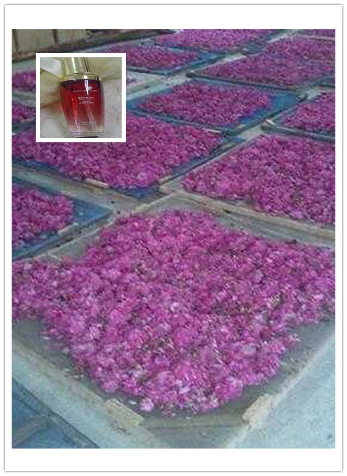 美醉的风景、精巧的技艺……邵阳的互联网+村淘、村游、村织棒棒哒！