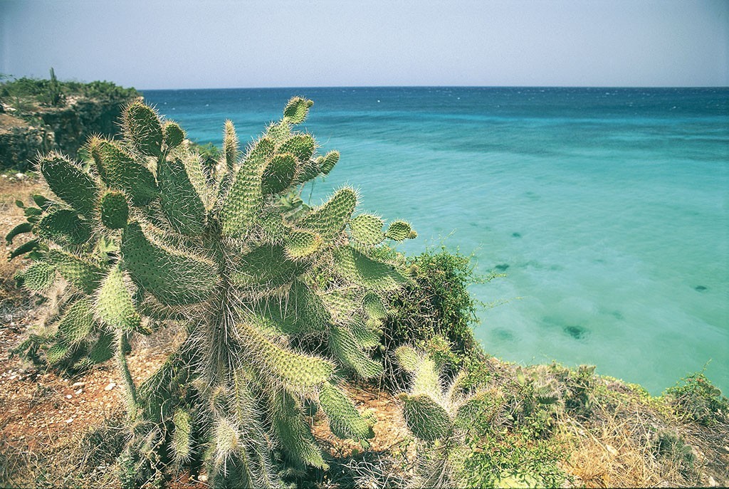 对中国免签或落地签的海岛,最新出国旅游的海岛免签