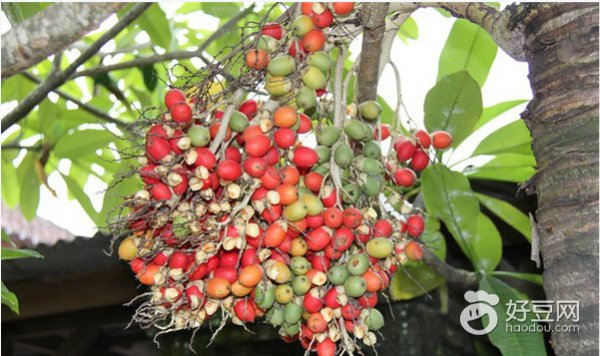 巴厘岛新婚礼物,巴厘岛婚礼甜点