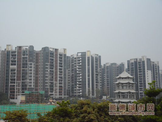 采风活动,采风的活动