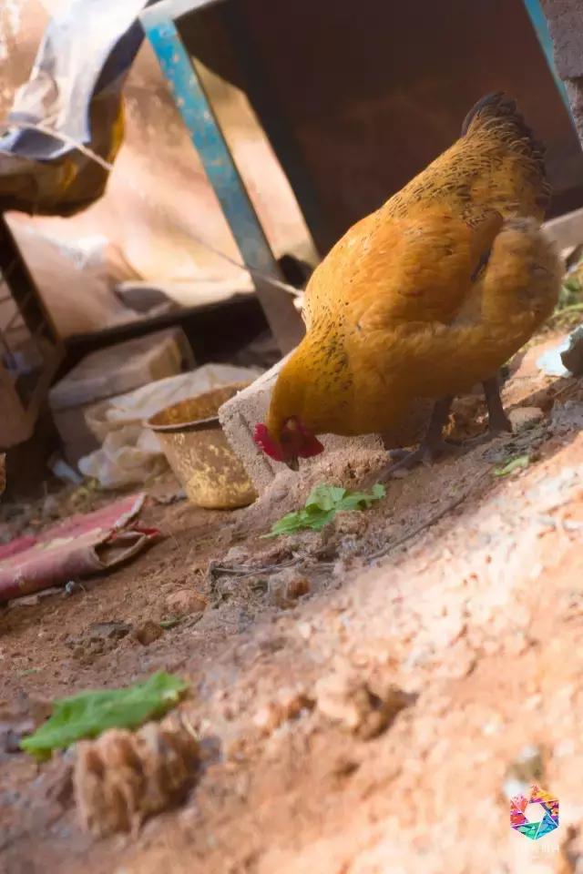 大理深度游攻略 (大理蜜月旅拍摄影攻略)