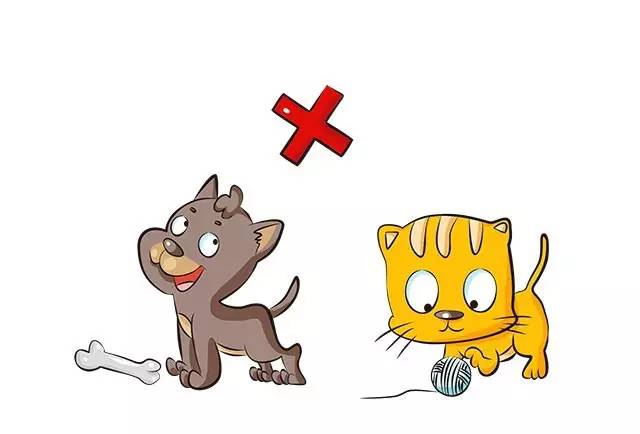 宝宝和喵星人,宝宝和汪星人谁厉害