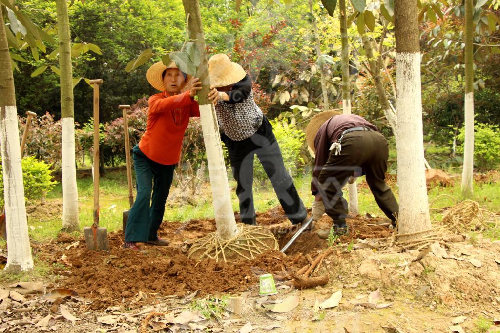 女人保护好自己身体就是人生赢家,女人保护好自己的秘密