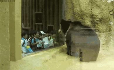 天太晚了，你要不就在这过夜吧