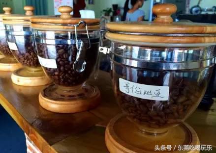 猫咪主题餐厅一览表,首家猫咪主题餐厅