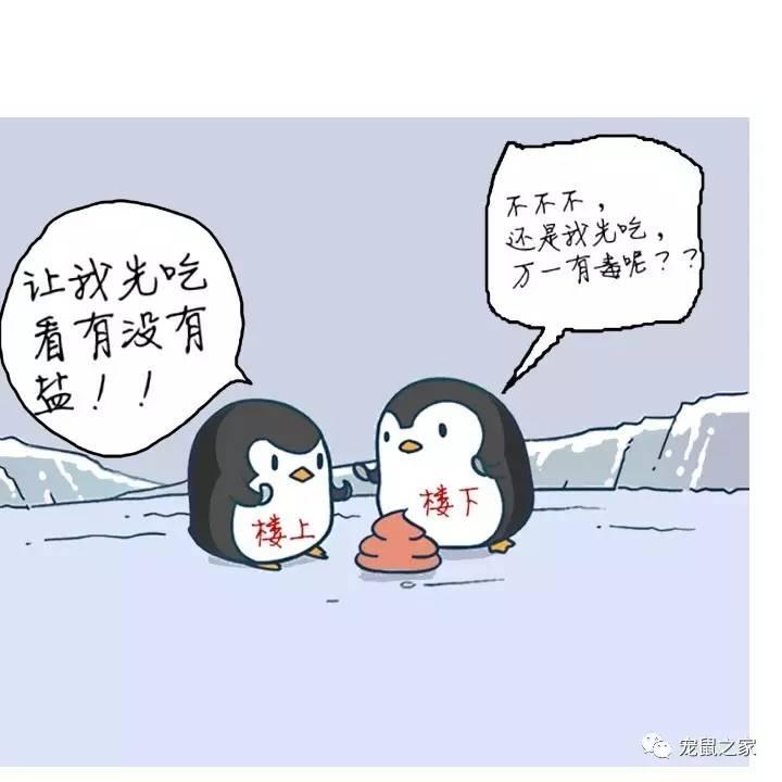 缇庨澶╀笅鍏荤敓澶у笀,缇庨澶╀笅棣欑尓