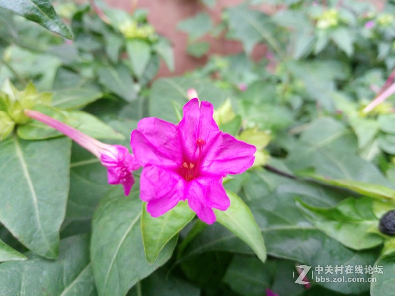 魅族5体验,魅蓝5手感