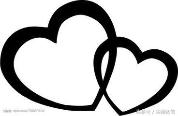 生命路上的“绊脚石”与飘扬的红丝带