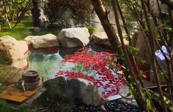 浙江武义哪个温泉最好,浙江哪里温泉度假村最好