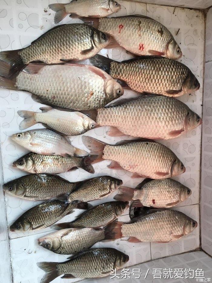 大湖冬钓鲫鱼怎么找钓点,平天湖初冬