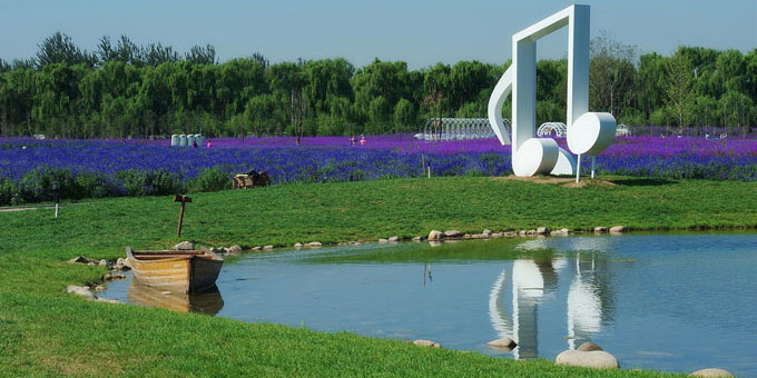 中国最大的薰衣草庄园,世界最漂亮的薰衣草庄园图片