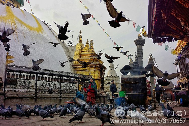 探秘尼泊尔牧羊人,探秘尼泊尔国家森林公园