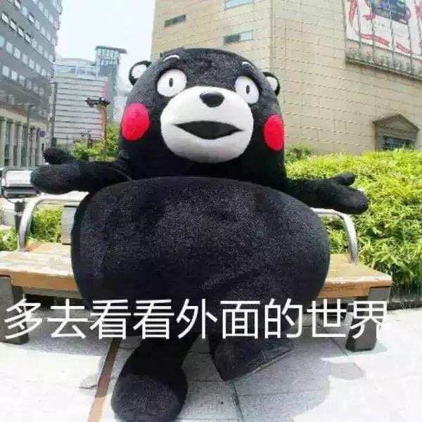 ucla11万人申请,ucla申请成功案例