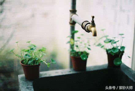 紫砂壶之美,紫砂壶之王是哪种壶