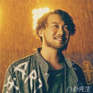 摆渡人不算王家卫的电影吗,摆渡人电影为何是烂片