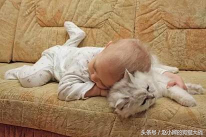 喵星人和主人睡一起,喵星人有多种情绪