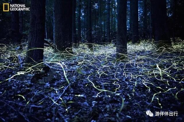 游伴伴|2016年最让人叹为观止的照片!